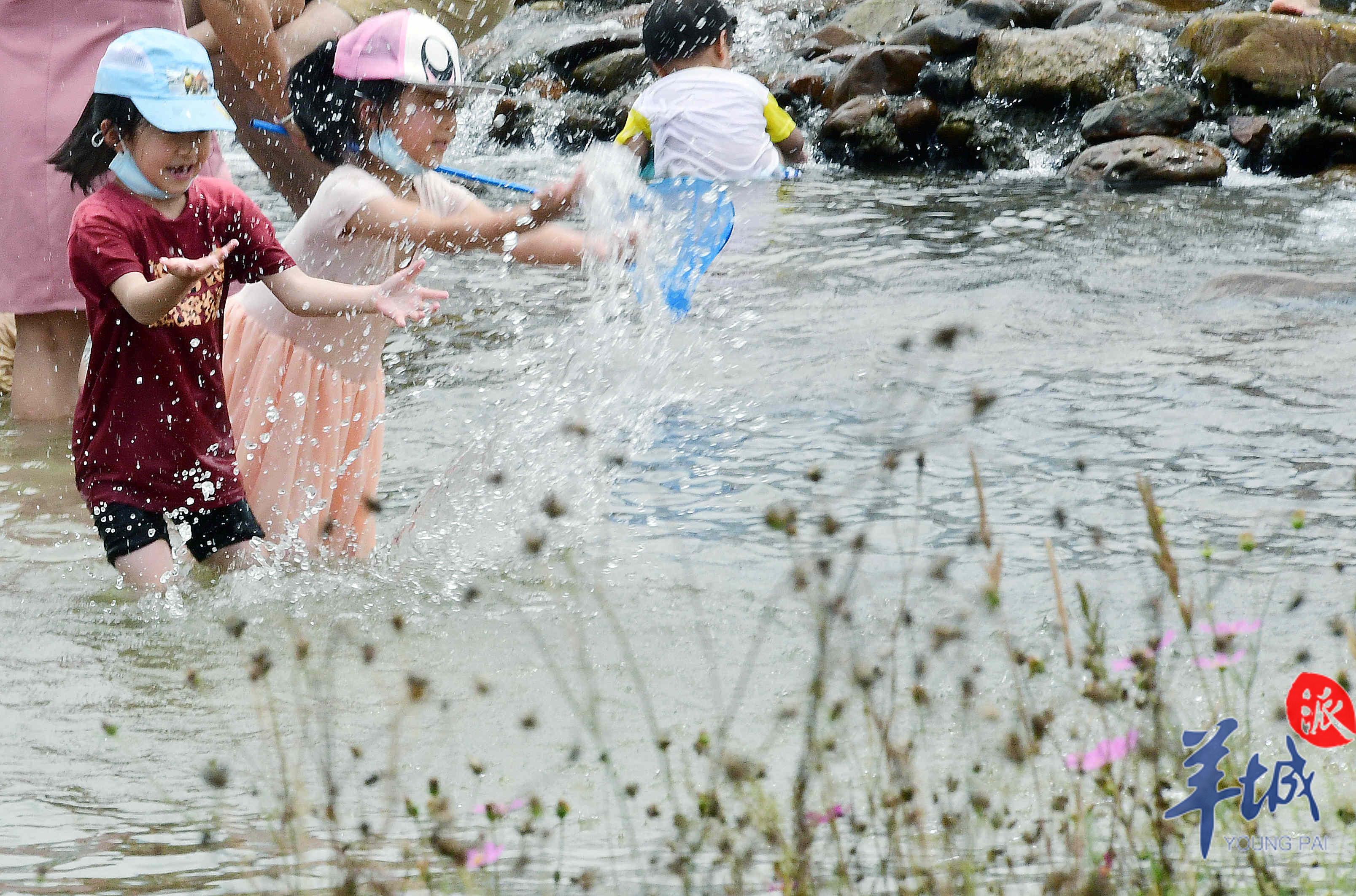「广州市」【图集】青山绿水连成美好的诗篇!广州乡村游焕发生机