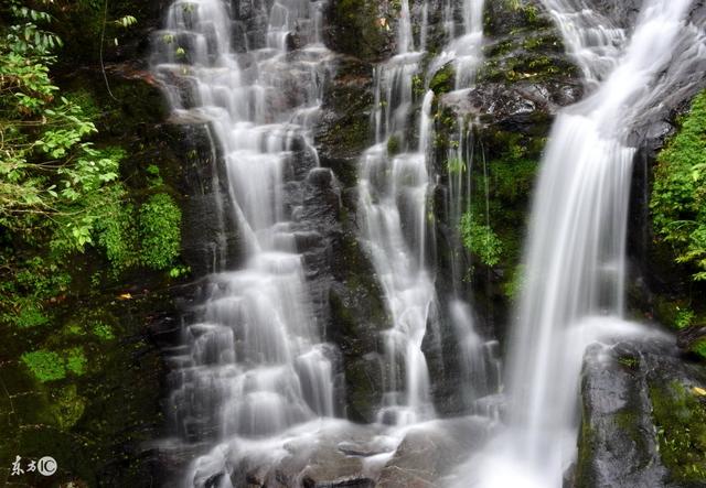 『生肖』5月上旬3天内，喜事来了，横财不断，好运连连，添丁添财3大生肖