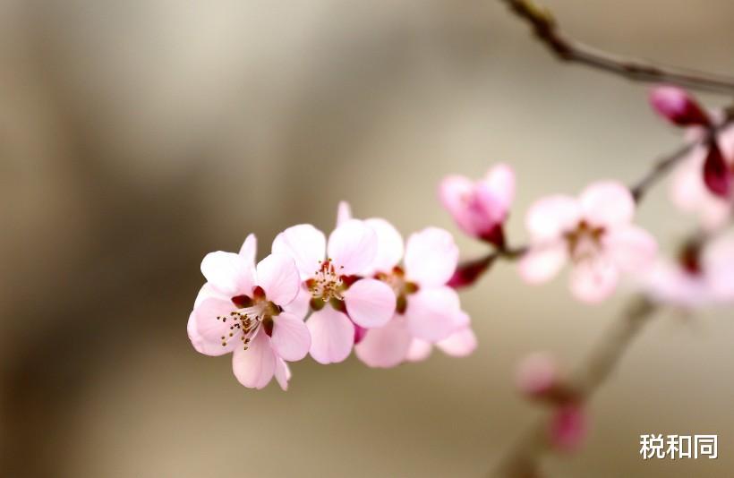 「生肖」千万富翁！6月下旬，招财进宝，大财小财统统进账的3生肖