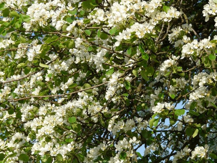 属狗|9月底，鸿运当头，喜鹊登门报喜，好运到来，喜事通通来的4大生肖