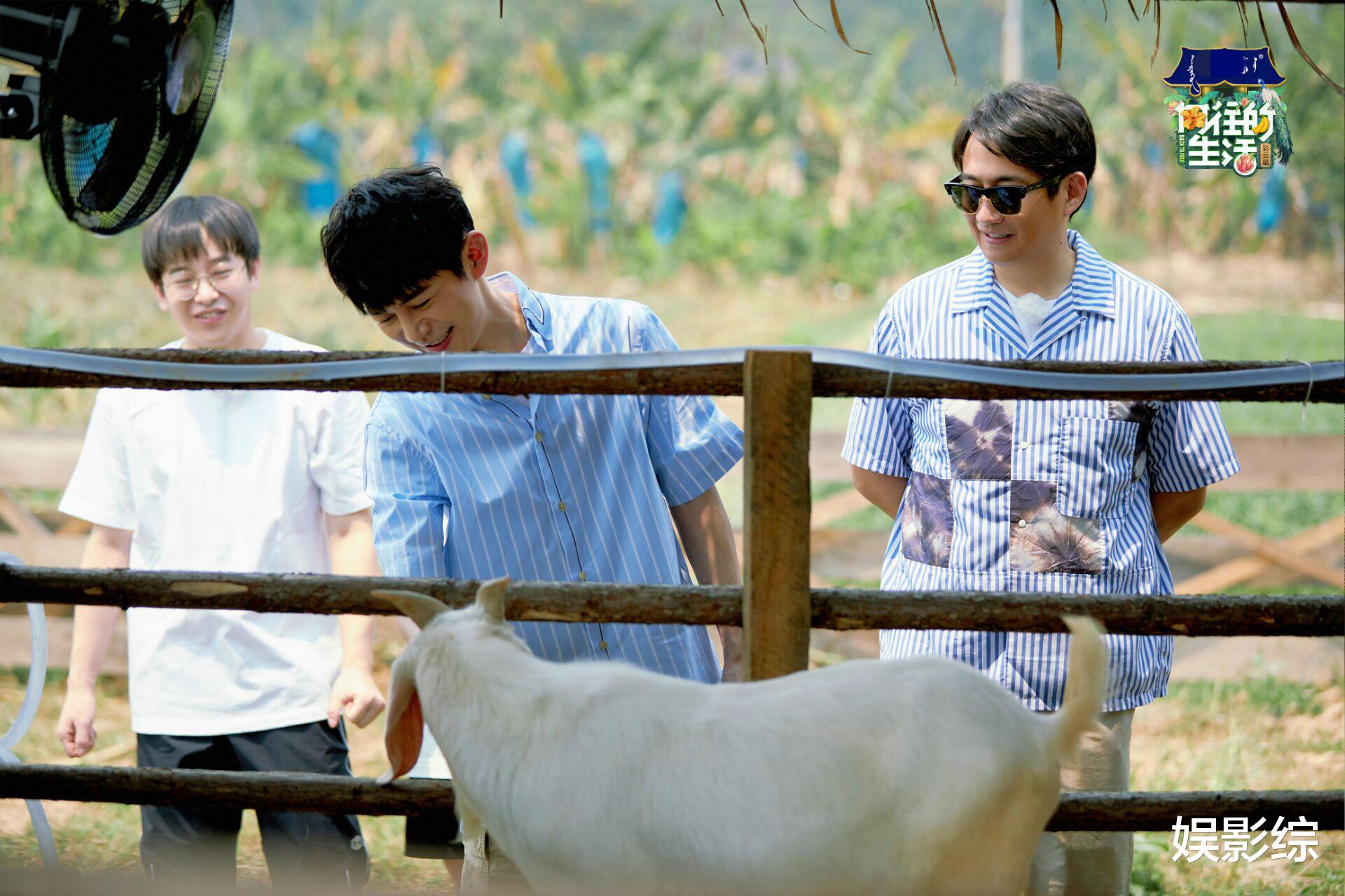 陶虹■陶虹现身《向往的生活》， 听到她对张子枫的称呼，就知有多宠爱她