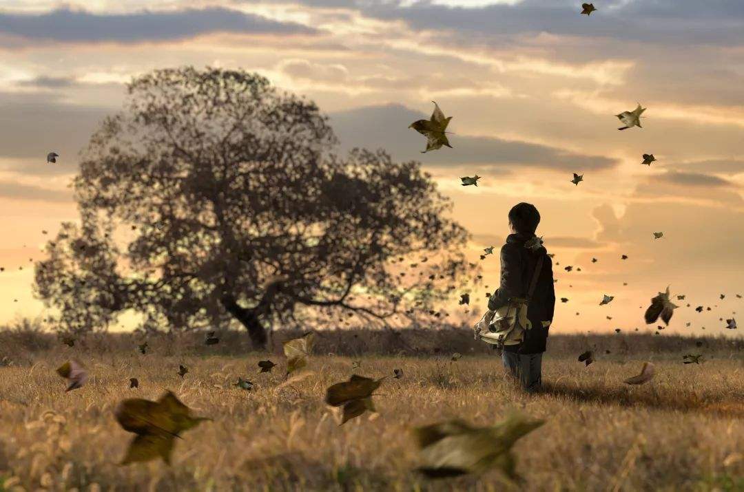 十二星座▲12星座隐藏性格曝光：这几个星座“外表无害其实有毒”！| 傲视星座