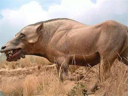 『生物考古』盘点远古时期的七大顶尖掠食者