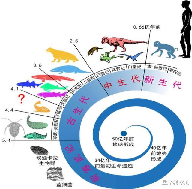 科学家|人类仍在进化,且在加速,科学家在35%的人手臂中发现了进化