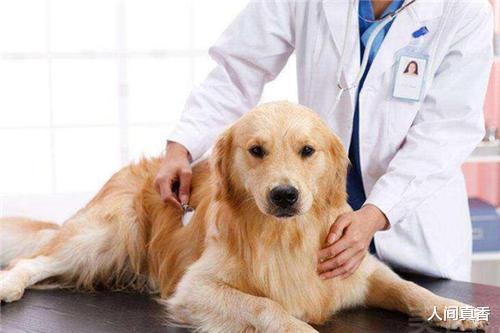 |专科都能报考的5大高薪专业,毕业就不愁就业,月薪过万很轻松