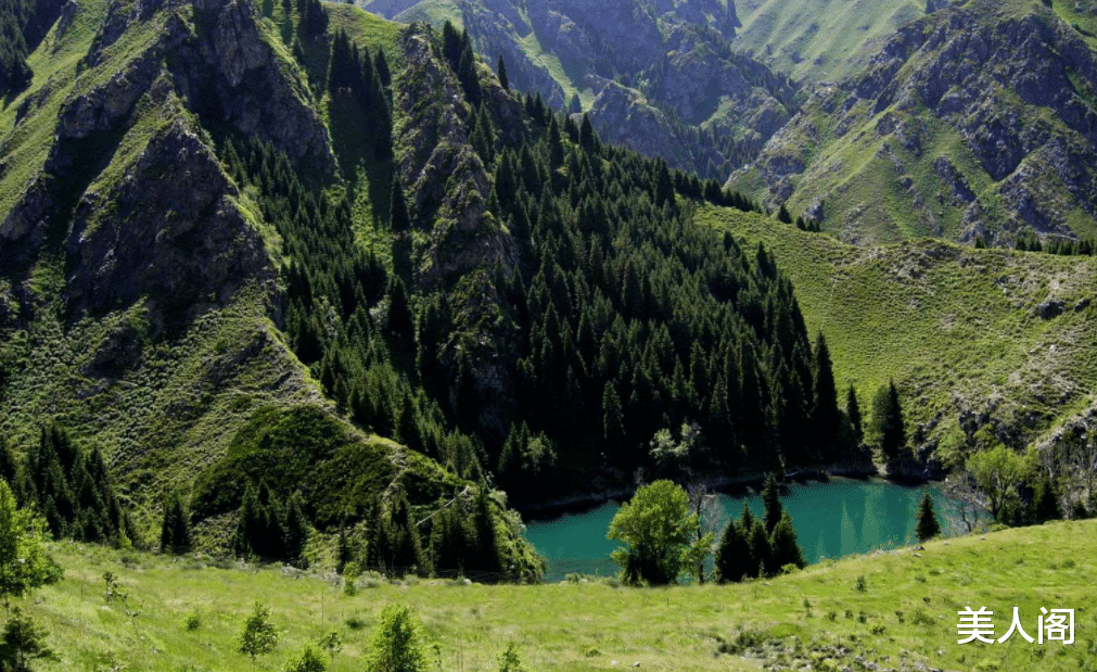 射手座|十月上旬，桃花映人，这几个星座的爱情来了