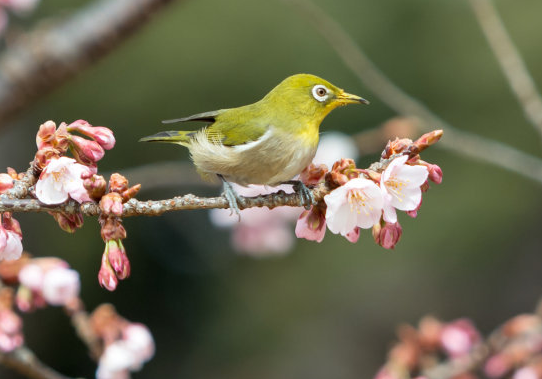 「运势」进入7月份，4属相迎来运势上上签，工作顺心，薪水大涨，喜事连连