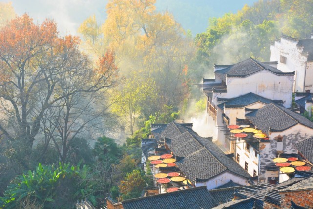 胡杨林|国内最佳赏秋地TOP6，第一个最火！