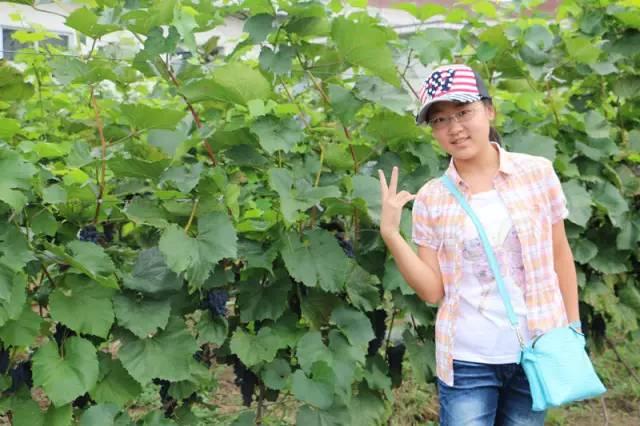 重庆|超一本线226分！重庆女生是双料状元，中学名师：中考决定高考