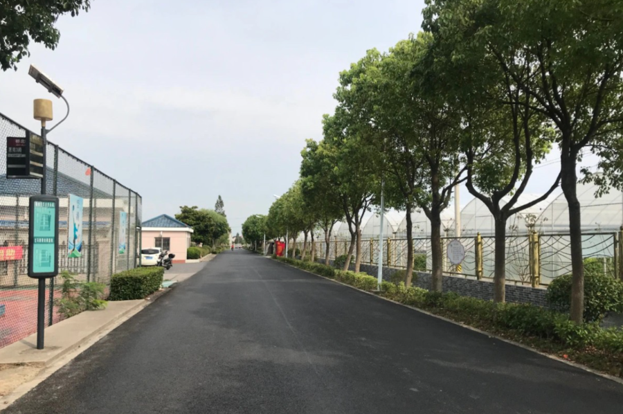 浦东发布 浦东有六个村被评为2020年度上海市美丽乡村示范村,你都去过吗?