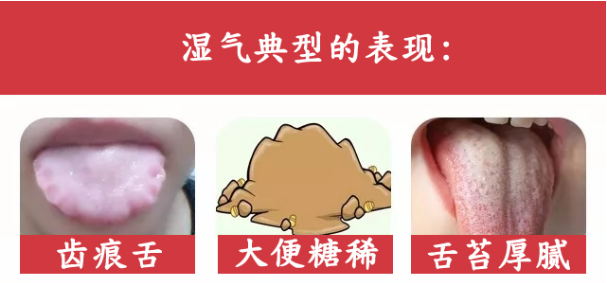 『薏米』夏天气温高了，教你一招帮你祛除体内湿气。