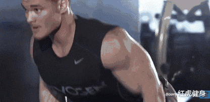 哈迪|亚洲巨兽“波斯狼”哈迪，坦克背的训练方法