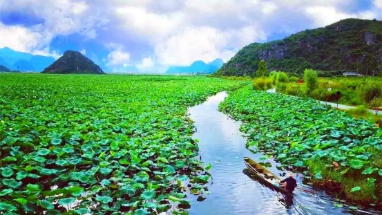 『普者黑』此景只应天上有，人间难得几回见！！！