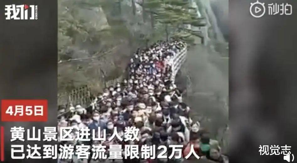 视觉志|10吨猪肉翻车遭哄抢：我看到了人性的分水岭