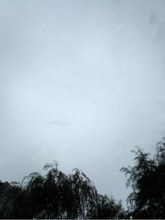 大米|拿来大米饭，鲫鱼照样赞