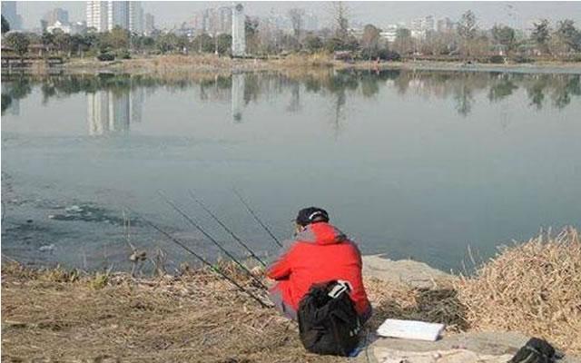 饵料|下钩触底，下钩躺底，在实战中到底有什么意义