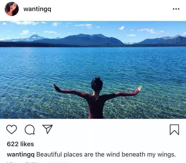 曲婉婷|曲婉婷赢了，556个东北家庭哭了