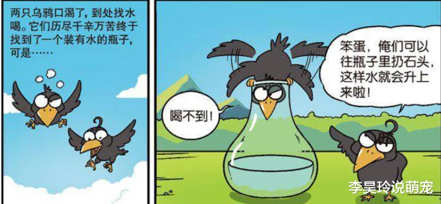 搞笑漫画：乌鸦喝水新传！直升机到达，成功拦截“呆头”！