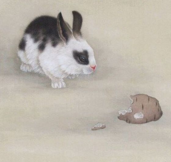 「属兔」人心不足蛇吞象，兔人将有“天财”来临，时间就在3月！