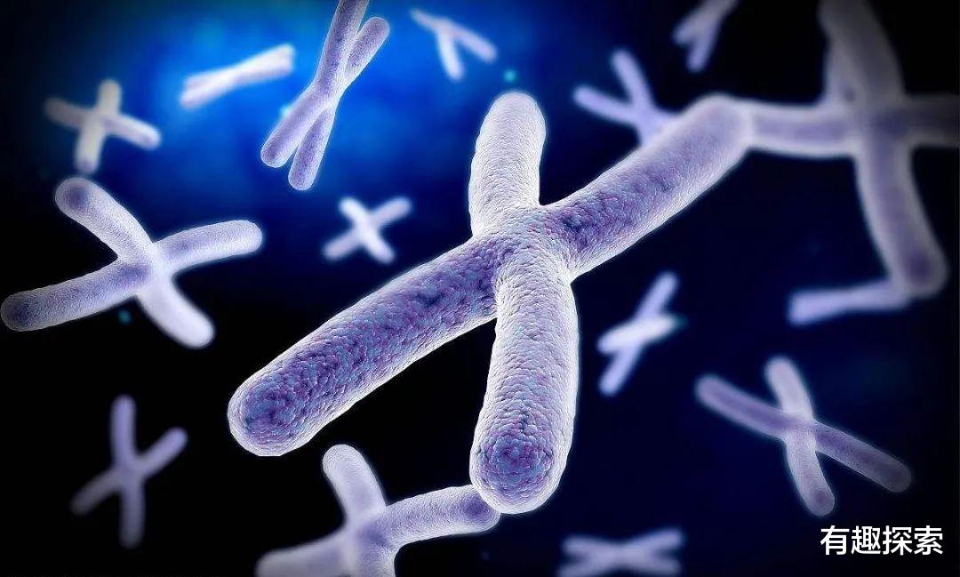 「后代」人和猿结合能否育出后代？上个世纪实验过，曾招募5名年轻姑娘