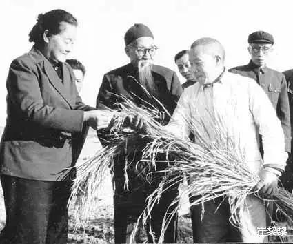 律师|新中国首任女部长，风云美女律师，与弟弟恩爱一生，死前无子送终