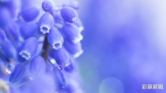 旧爱|未来一个月，与旧爱复合成功，前任主动找你和好如初的四个星座