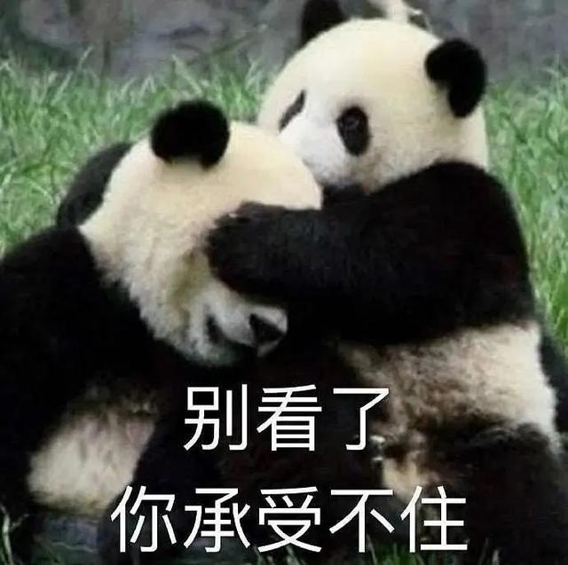 恋爱脑|恋爱脑、演技烂、耍大牌，她怎么红的？