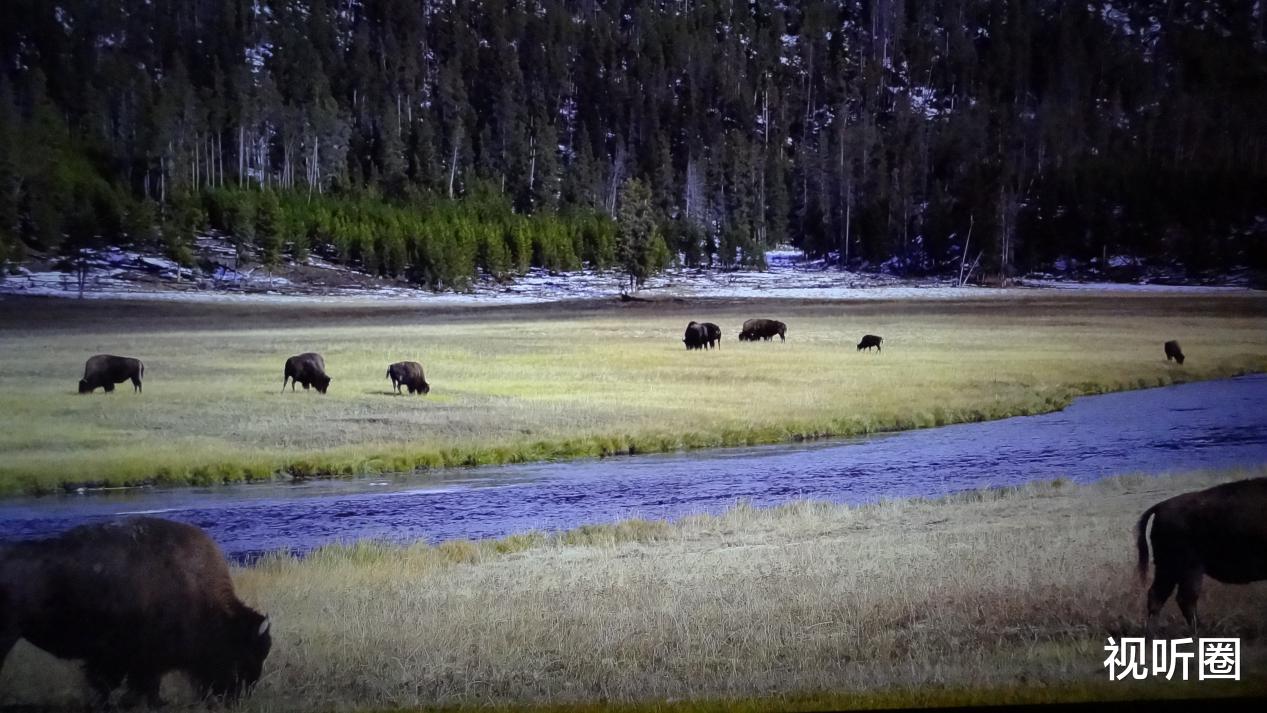 Surface|19999元的98英寸Redmi巨幕电视，在专业影音人士眼里“实力”到底如何？