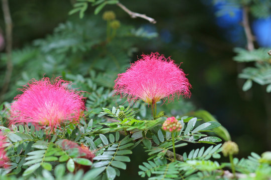 「巨蟹座」未来30天，4属相喜事降临，事业发展顺风顺水，生活其乐融融