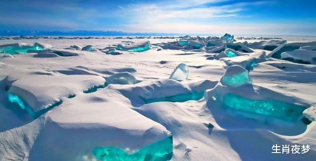 生肖@5月底，花开不败，找回真爱，3生肖不再退缩，不遗余力再爱一次