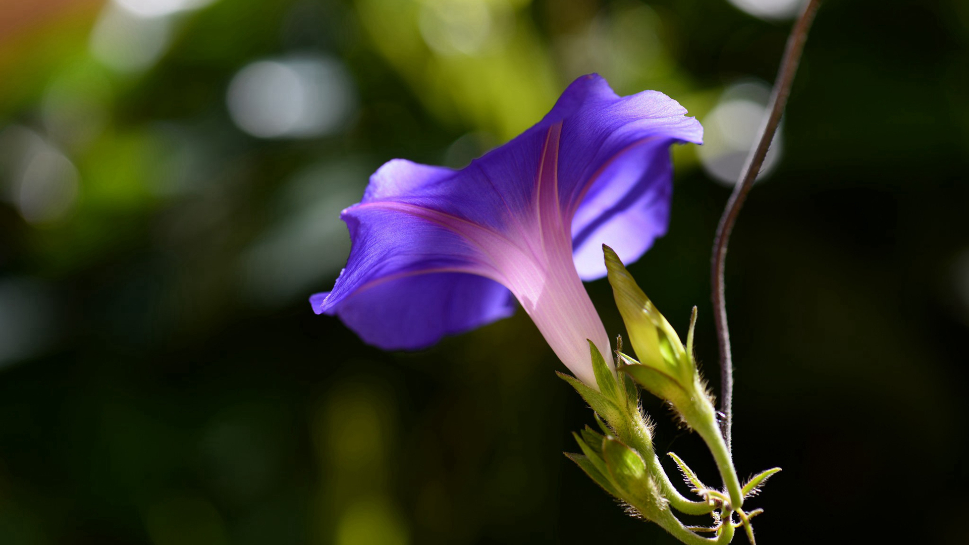 [运势]生肖蛇：“损财”的下半年，频频漏财，晚年身无分文，辈辈受穷！