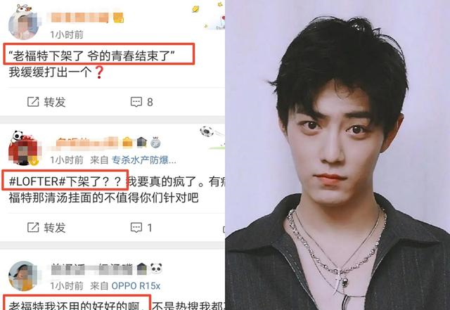 肖战|肖战粉丝再登热搜！lofter被“举报下架”？职黑高估了自己的智商