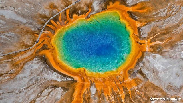 抹香鲸|诡异的鲸排泄物：价值还那么高！为什么取出来不香，拉出来才香？