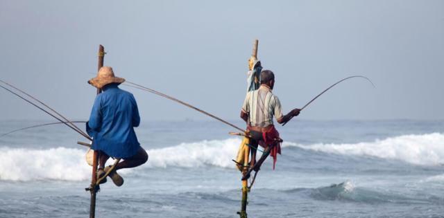 |老话“钓鱼穷三年，玩鸟毁一生”，老祖宗的忠告，真的准吗？