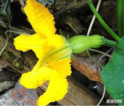跃龙门|阴历几月出生的人，职场混的好，不缺好队友，8月名利双收跃龙门