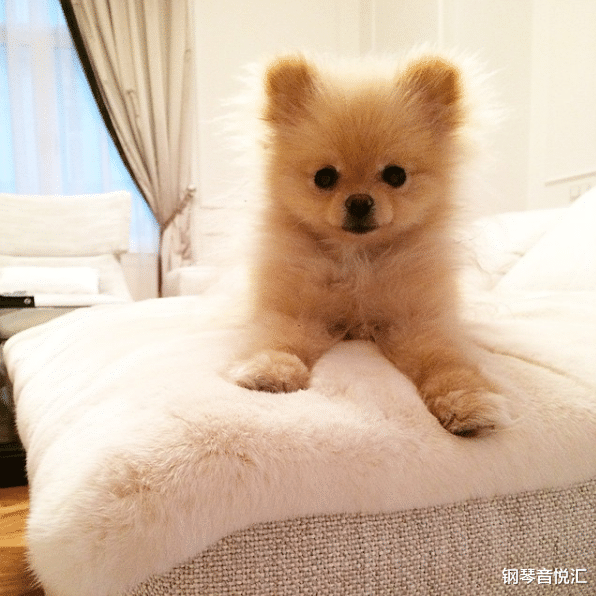 #阿依达#看了这么多场线上音乐会,你知道艺术家的家什么样子吗?