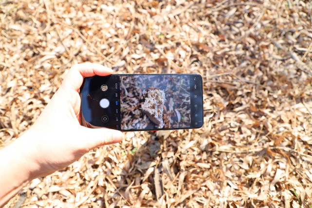 红米手机|红米K30Pro很难摆脱舆论?事实并非如此,马上要卖完了!