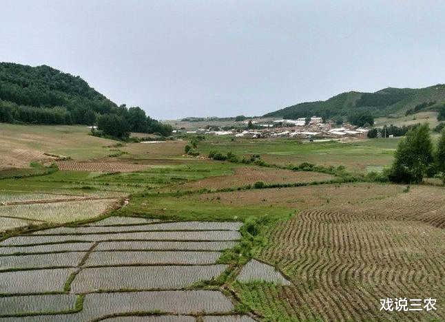 戏说三农|土地承包关系有变化？一户一田受追捧，3省推动试点！与归并无关