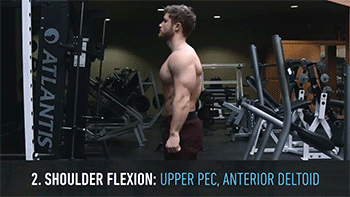 胸肌|想练“事业”线、胸挺？这个上胸动作一定要练