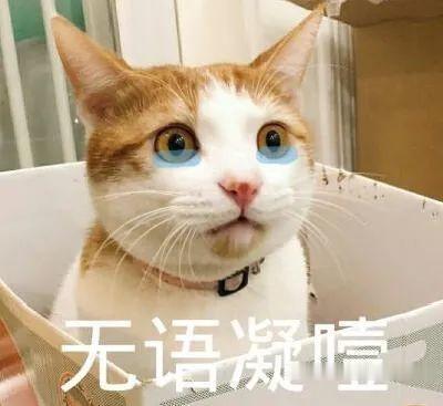 河南商报 杭州一男子约见男网友,对方提出奇怪要求!一夜之后:我对不起老婆孩子