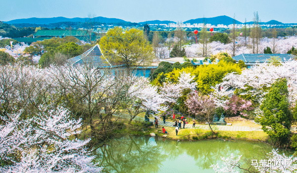 江苏省|华东“最大”规模公园，每年接待50多万游客，耗资3亿却免门票