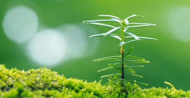 双鱼座|8月，不甘心认命，运势突飞猛进，贵人指路，能富甲一方的4生肖