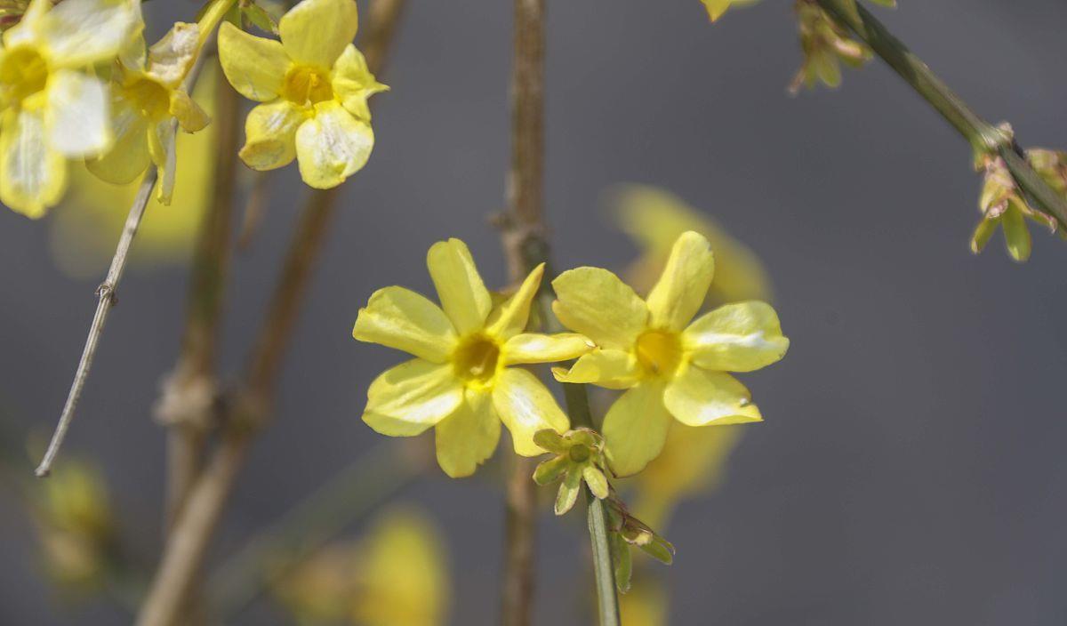 |15天之内，一拍两散，互不相欠，3星座告别过去，转身邂逅新欢