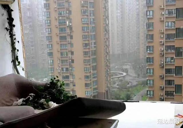 延边晨报|台州女子台风天关窗坠亡，涉事开发商曾被罚款50万，法人判刑9年