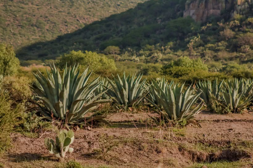 『吉星』下周迎来吉星出现，事业发展更顺利，贵人相助，横财不断的四属相