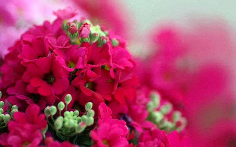 生肖■7月份，红娘点头姻缘相候，遇命中佳偶，相伴至白首的四大生肖