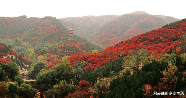 ##领导问你对工作有什么看法，牢记有一点不能说，有两点要多说！