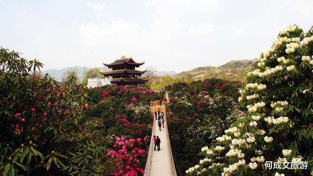 贵州：贵州一“花园”火了，堪称“世界第一”，门票120，却从不缺游客