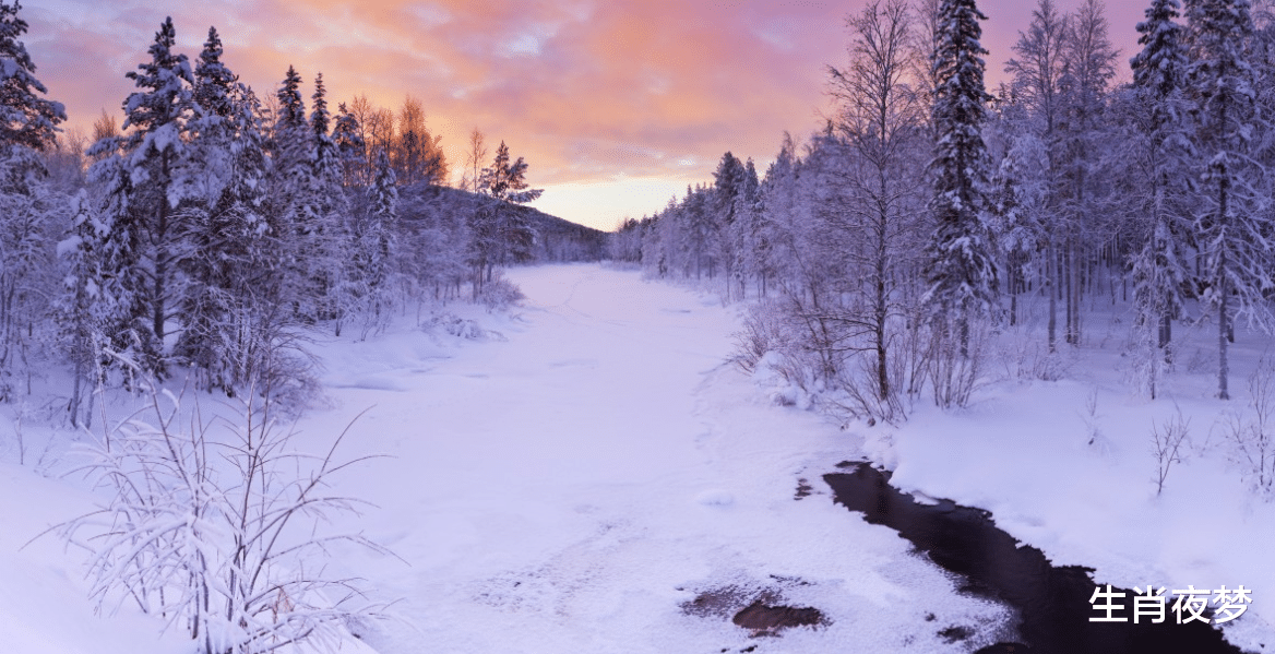 白羊座|11月下旬，倾心相遇，今生缘起，旧情人姗姗来迟，幸福急不可待