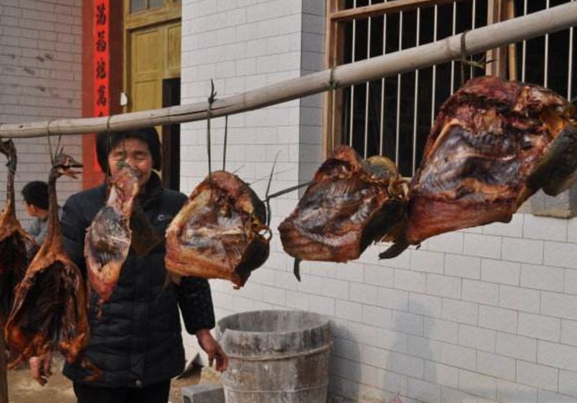 你为什么要回老家过年？